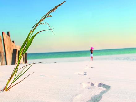 Beaches, Gulf Shores and Orange Beach AL
