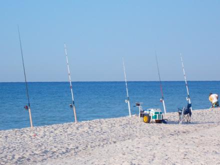 Surf Fishing on Alabama's Beaches