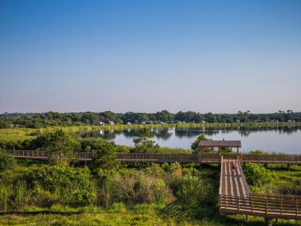 Views of Gulf State Park