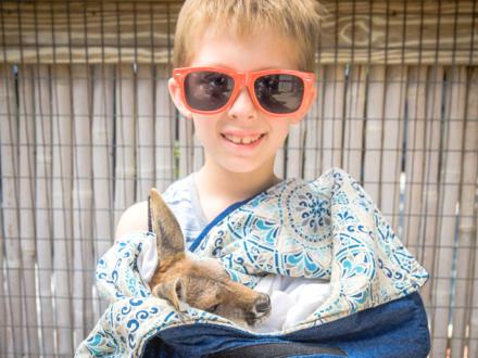 Boy holding baby kangaroo at Alabama Gulf Coast Zoo