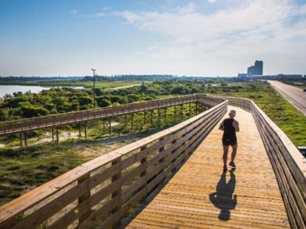 running, gulf shores