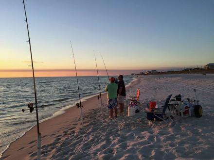 Surf fishing Gulf Shores AL