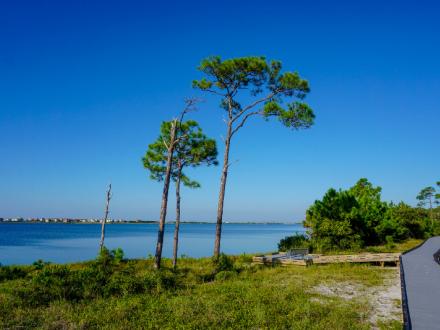 Bon Secour National Wildlife Refuge Gulf Shores AL
