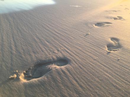 Leave Only Footprints