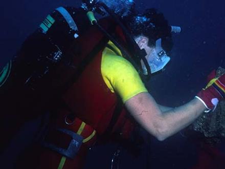 Scuba Diving