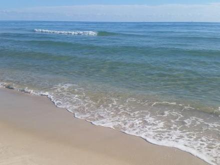 Beaches at Gulf Shores & Orange Beach Al