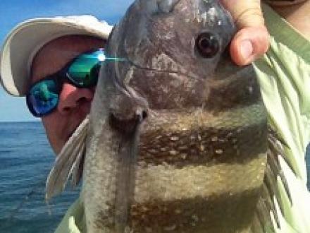 Winter Fishing Orange Beach AL