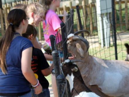 Alabama Gulf Coast Zoo