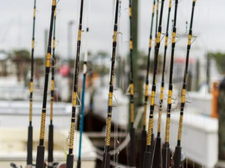 Offshore fishing in Orange Beach AL