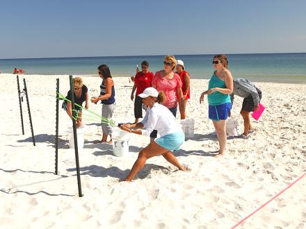Team Building in Gulf Shores and Orange Beach, Alabama