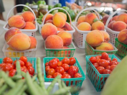 Fresh produce from the Alabama Coastal Farmer's Market