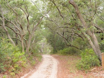 Bon Secour National Wildlife Refuge in Gulf Shores, Alabama