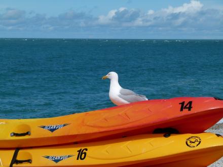 Kayaks in Gulf Shores and Orange Beach, Alabama