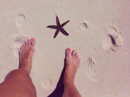 Orange Beach starfish