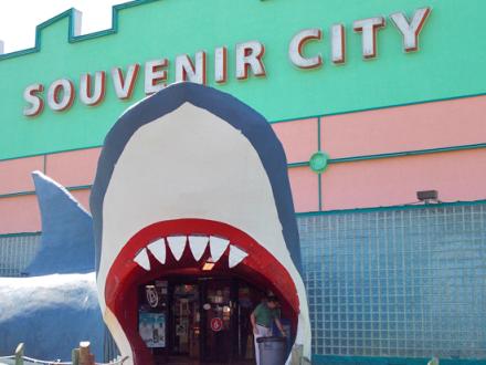 Unique Beach Souvenirs in Gulf Shores Orange Beach