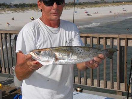 Speckled trout caught on the Gulf State Pier Gulf Shores Al