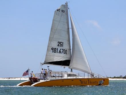 sail wild hearts in open water