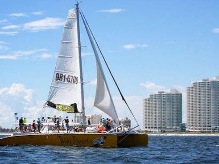 Wild hearts Sailboat