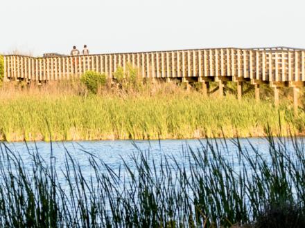 Hugh S Branyon Backcountry Trail Boardwalk