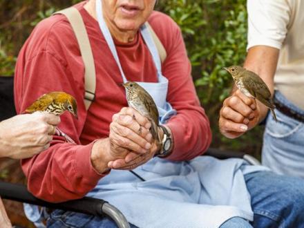 John L. Borom Alabama Coastal BirdFest