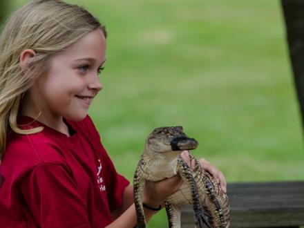 child holding an alligator at alligator alley Foley al