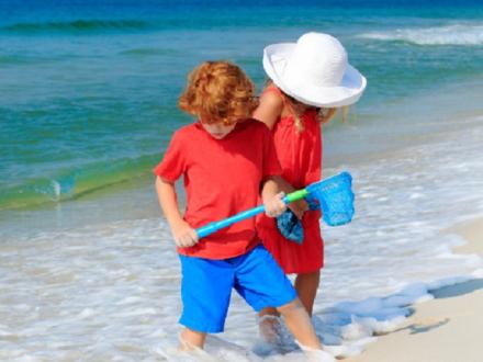looking for crabs on the beach in Orange Beach AL