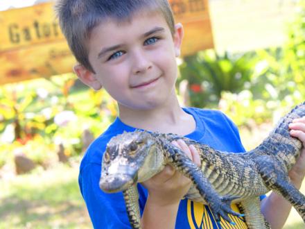 Boy holding baby alligator at Alligator Alley