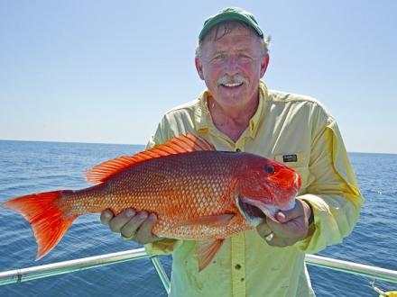 Snapper fishing in Gulf Shores and Orange Beach AL
