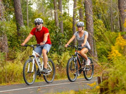 Hugh S. Branyon Backcountry Trail, Gulf Shores and Orange Beach, AL