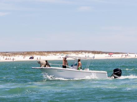 Boat Rental
