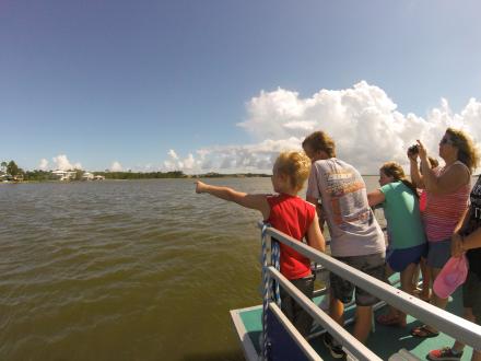 Dolphin Cruise
