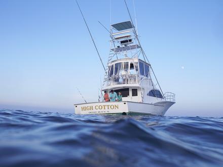 Gulf Shores and Orange Beach, AL Fishing