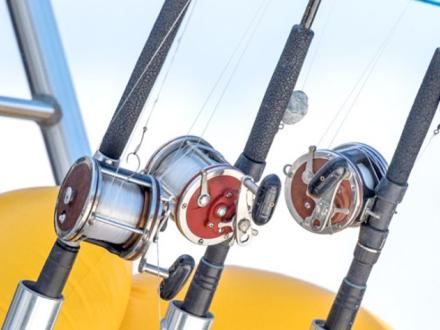 Charter Fishing Rods