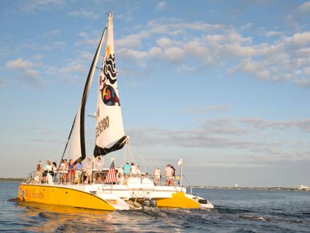 Sail Wild Hearts