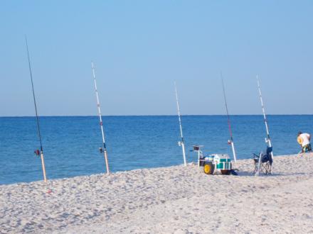 Surf Fishing on Alabama's Beaches