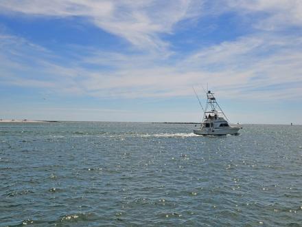 Boat Charter Fishing