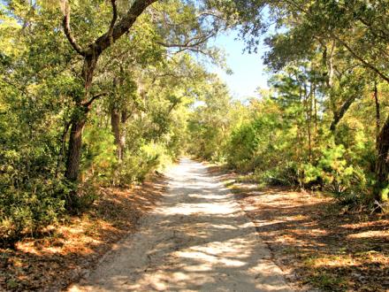 Bon Secour National Wildlife Refuge Trails