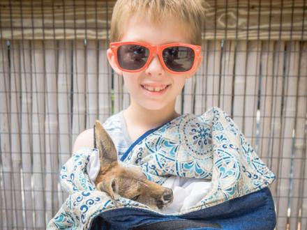 Kangaroo Encounter at Alabama Gulf Coast Zoo