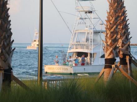 inshore fishing Orange Beach Al