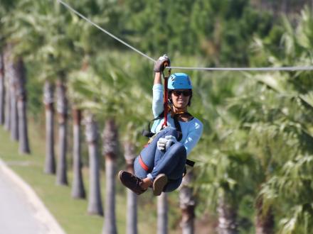 Hummingbird Zipline