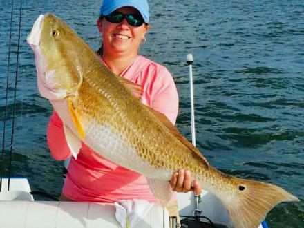 Bull redfish Gulf Shores Orange Beach AL