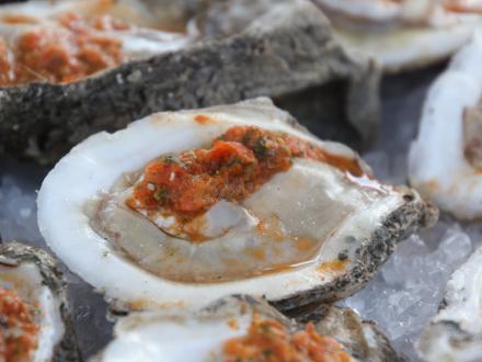 oyster, gulf shore