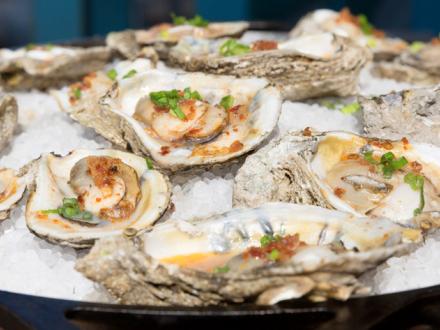 Gulf Coast Oysters