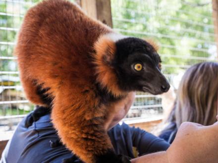 zoo encounter, gulf shores