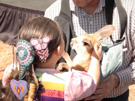 Live Animals at Ballyhoo Festival
