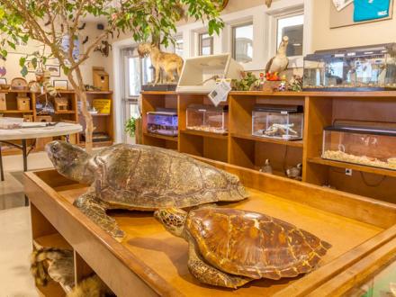 The Nature Center at Gulf State Park
