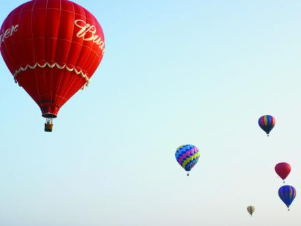 Annual Gulf Coast Hot Air Balloon Festival Foley, AL