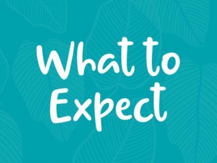 What to expect at popular attractions in Gulf Shores and Orange Beach.