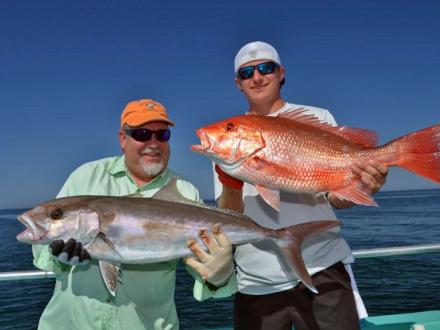 Alabama Has The Most Premier Reef Zones In World Gulf Shores Orange Beach