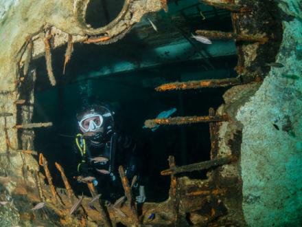 Diver at the Capt. Shirley Brown wreck